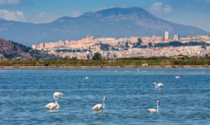 Parco Naturale Molentargius-Saline: un'oasi tra città, storia e fenicotteri rosa