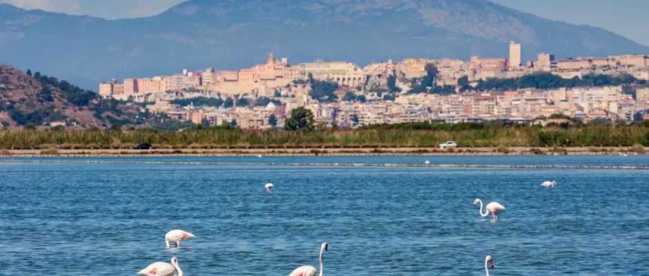 Parco Naturale Molentargius-Saline: un'oasi tra città, storia e fenicotteri rosa