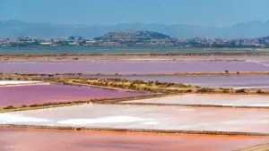 Saline Conti Vecchi: dove il sale racconta la storia