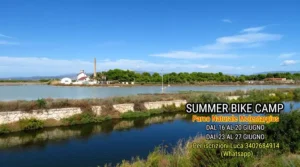 Summer Bike Camp 2025: un’estate di avventure su due ruote per bambinə dai 7 ai 12 anni!