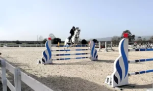 Salto ostacoli: Tanca Regia ospita la 2° tappa del Trofeo Asvi