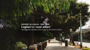Cagliari e i suoi alberi: passeggiata cittadina alla scoperta del verde urbano