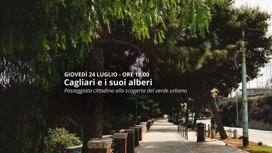 Cagliari e i suoi alberi: passeggiata cittadina alla scoperta del verde urbano