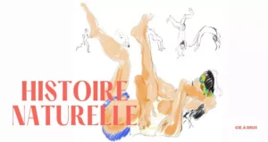 Histoire Naturelle: Danza acrobatica sotto le stelle al Parco della Musica