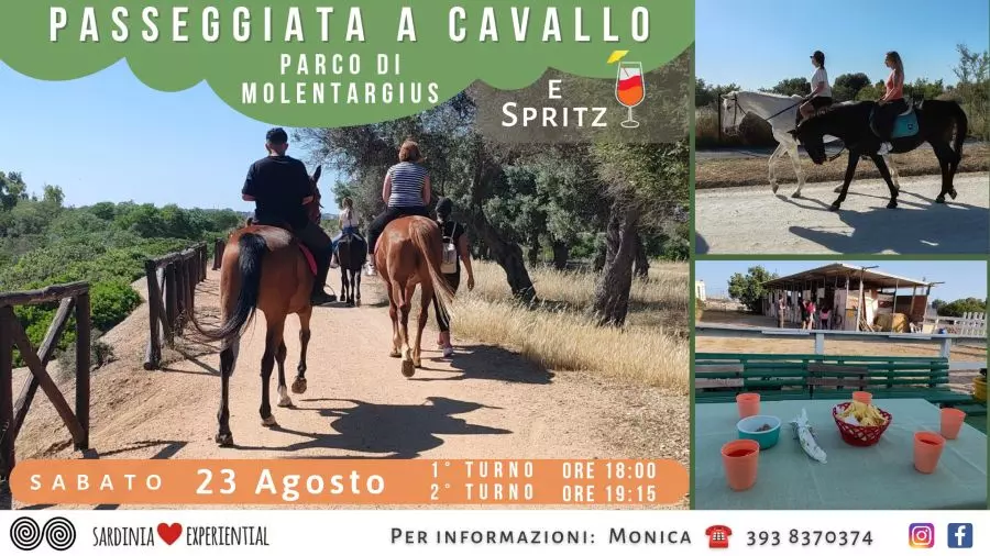 Passeggiata a Cavallo a Molentargius + Spritz: Un’esperienza unica nel cuore della natura