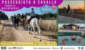 Escursione a Cavallo nel Parco di Molentargius con Brindisi allo Spritz