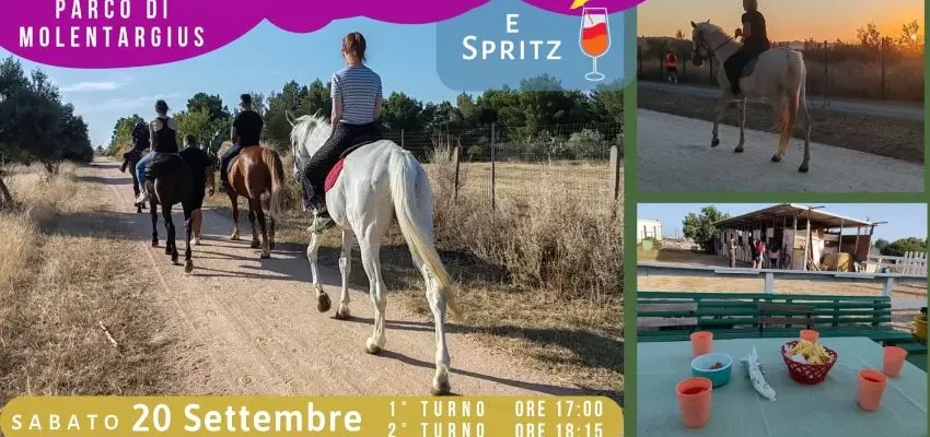Escursione a Cavallo nel Parco di Molentargius con Brindisi allo Spritz