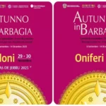 Passaggi d’Autore – Intrecci Mediterranei: XXI edizione del Festival del Cortometraggio Mediterraneo