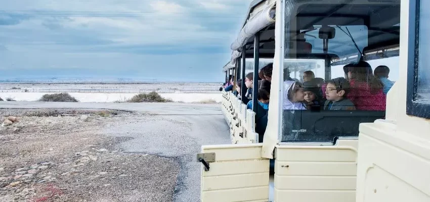 Natale 2025 alle Saline Conti Vecchi: eventi, presepi e attività per famiglie