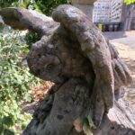 Visita guidata ai sotterranei di Cagliari: ipogei, rifugi e storia nascosta – Sabato 9 Maggio